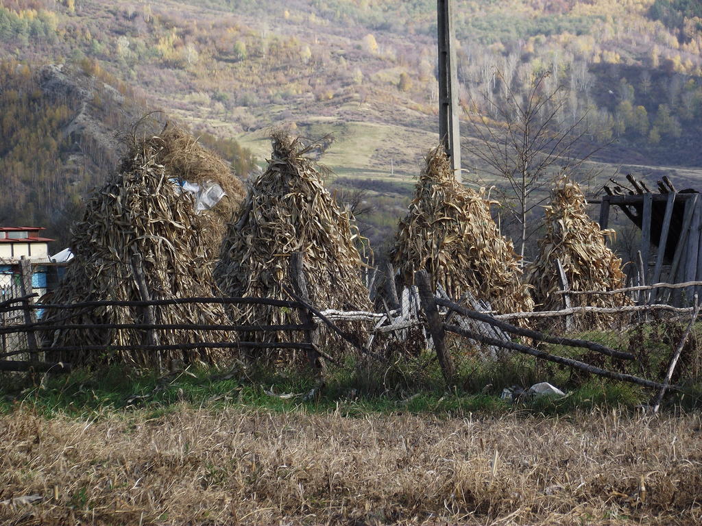Pensiunea Valea Lupului Valea Lupului  외부 사진