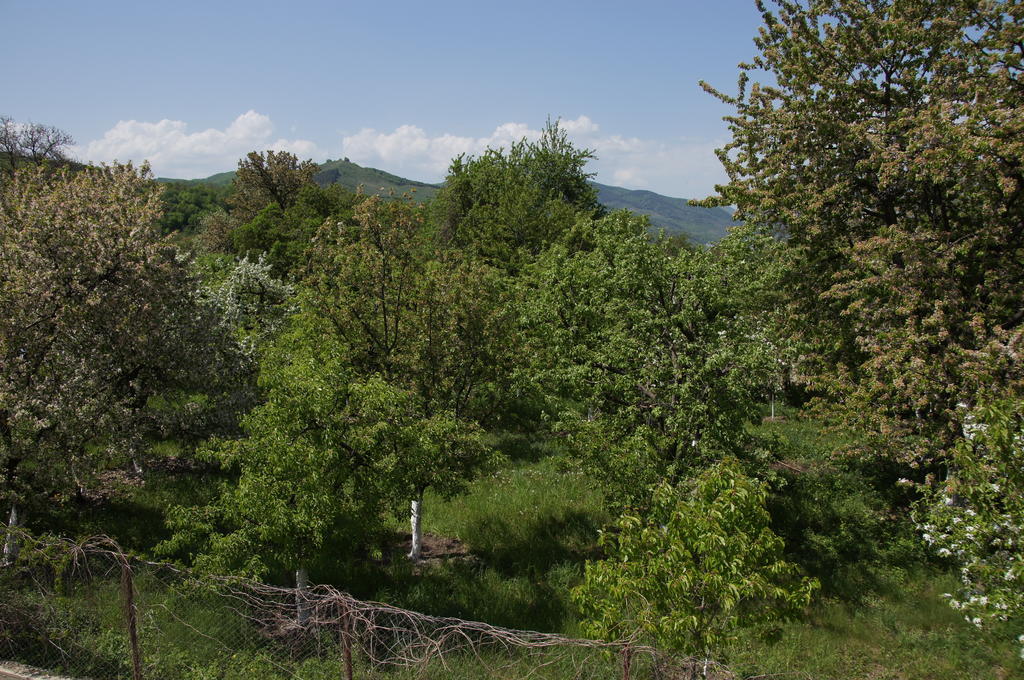 Pensiunea Valea Lupului Valea Lupului  외부 사진